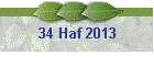 34 Haf 2013