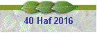 40 Haf 2016
