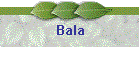 Bala