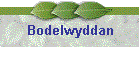 Bodelwyddan