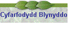 Cyfarfodydd Blynyddol