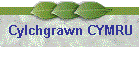 Cylchgrawn CYMRU