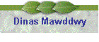 Dinas Mawddwy