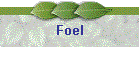 Foel