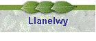 Llanelwy