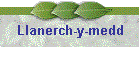 Llanerch-y-medd