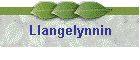 Llangelynnin