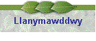 Llanymawddwy