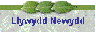 Llywydd Newydd