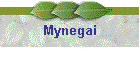 Mynegai