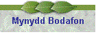 Mynydd Bodafon