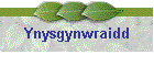 Ynysgynwraidd