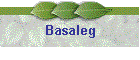 Basaleg