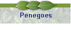 Penegoes