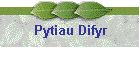 Pytiau Difyr