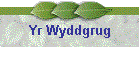 Yr Wyddgrug