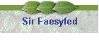 Sir Faesyfed