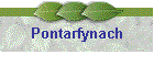 Pontarfynach