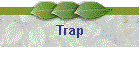 Trap