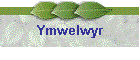 Ymwelwyr