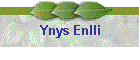Ynys Enlli